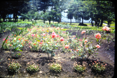 EXIF_HDL_ID_1