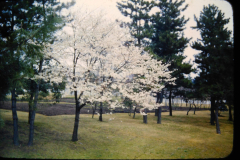 EXIF_HDL_ID_1