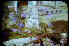 EXIF_HDL_ID_1