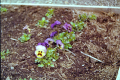 EXIF_HDL_ID_1