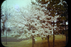 EXIF_HDL_ID_1