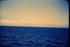 EXIF_HDL_ID_1