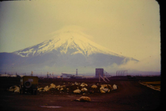 EXIF_HDL_ID_1