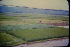 EXIF_HDL_ID_1