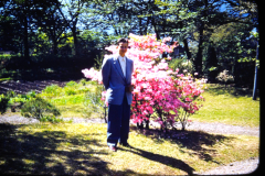 EXIF_HDL_ID_1